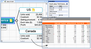 Calculation feature, Excel Integration, Mind Map, Mind Mapping software