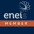 ENEI Logo
