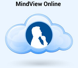 mindview ipad