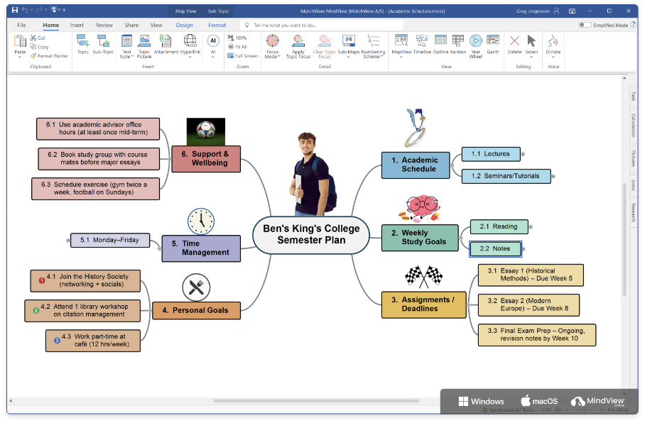 Professional mind mapping software