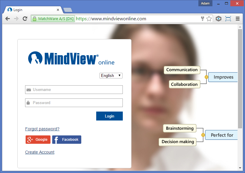 mindview online